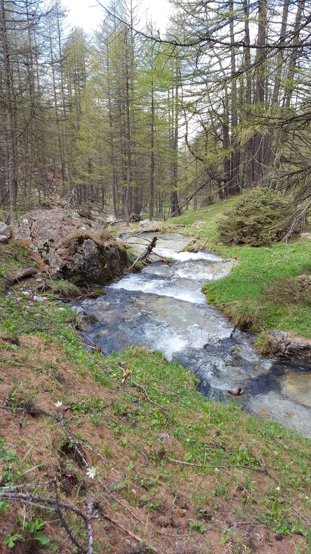 Randonnée — sentiers alpins et lacs d'altitude